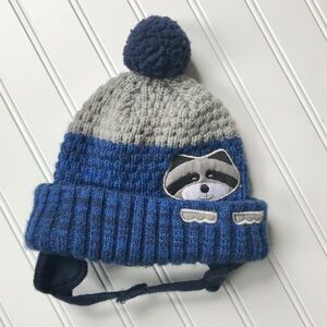 Raccoon winter knit hat